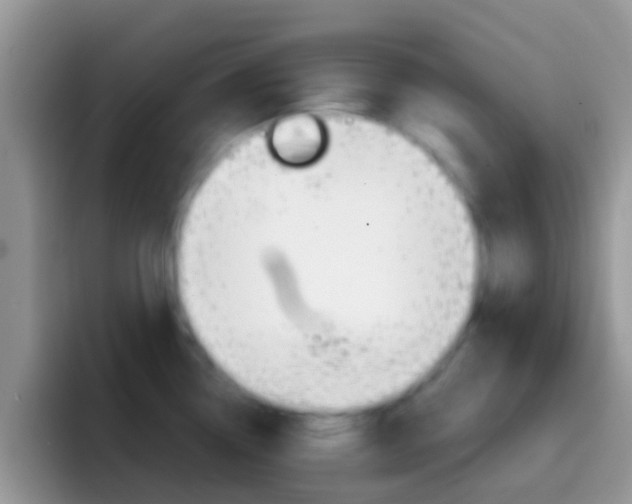 X0000097001338200802081020
