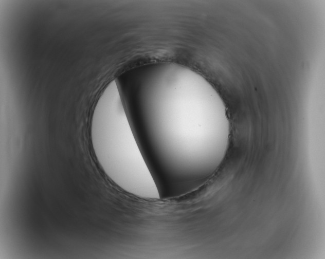 X0000097001345200802081020