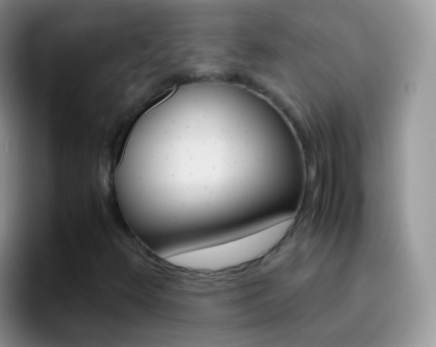 X0000097001348200802081020