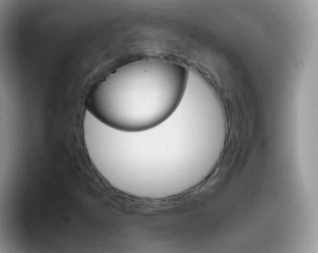 X0000097001349200802081020