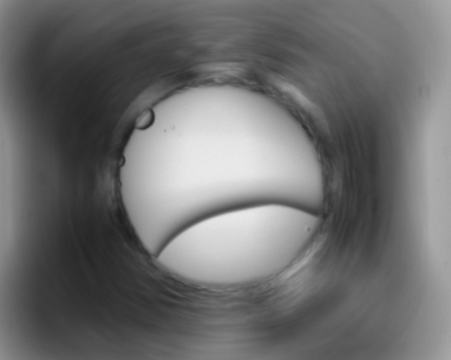 X0000097001354200802081020