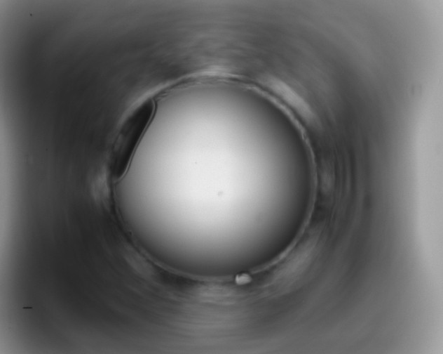 X0000097001356200802081020