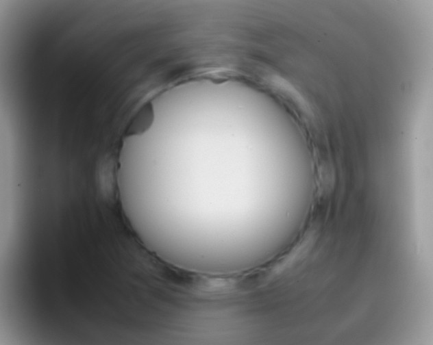 X0000097001361200802081020