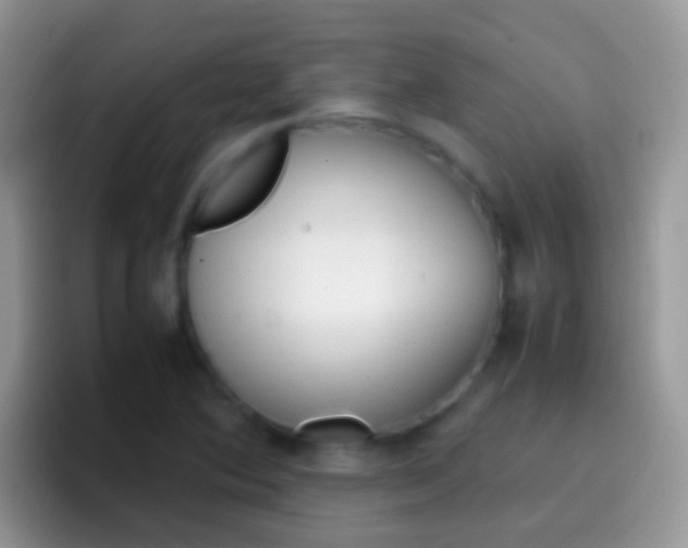 X0000097001364200802081020