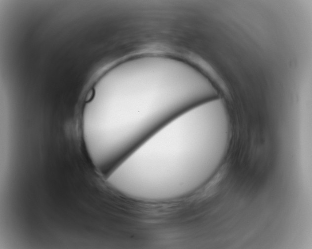 X0000097001366200802081020