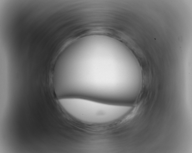 X0000097001369200802081020