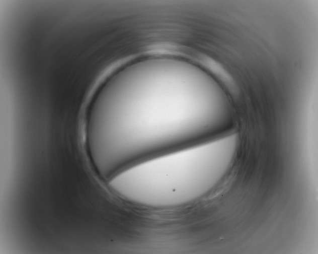 X0000097001376200802081019