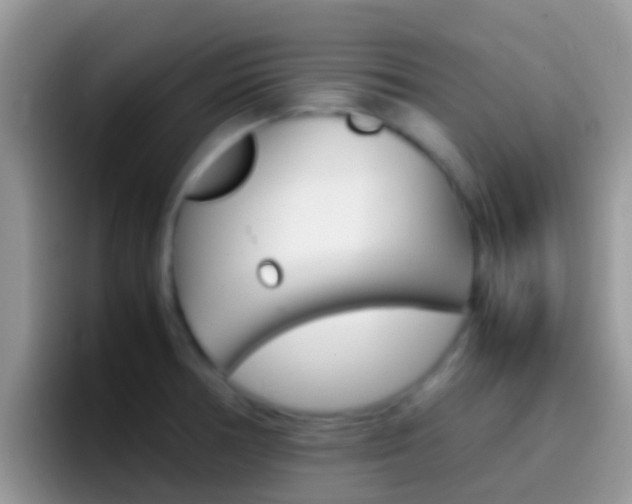 X0000097001378200802081019