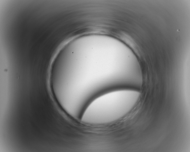 X0000097001379200802081019