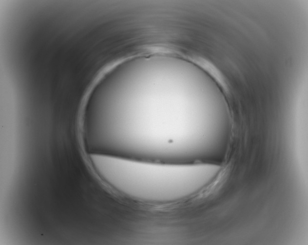 X0000097001381200802081019