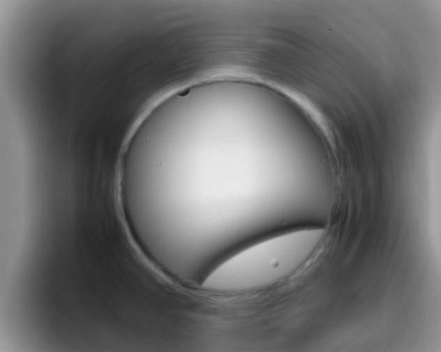 X0000097001390200802081019