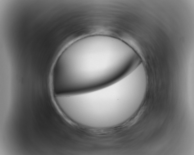 X0000097001391200802081019