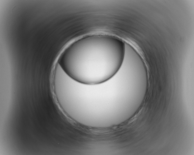 X0000097001392200802081019