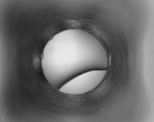 X0000097001395200802081019