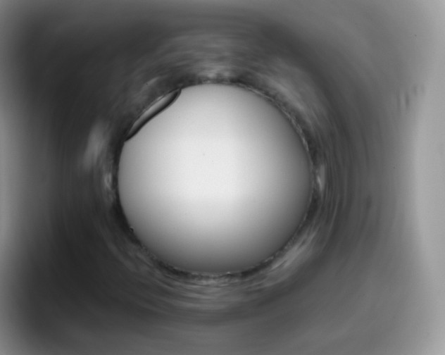 X0000097001396200802081019