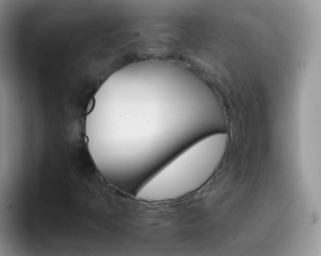 X0000097001397200802081019