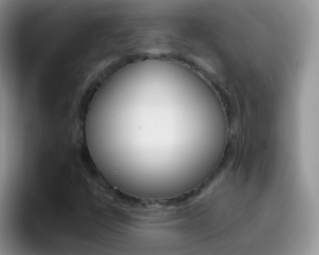 X0000097001398200802081019