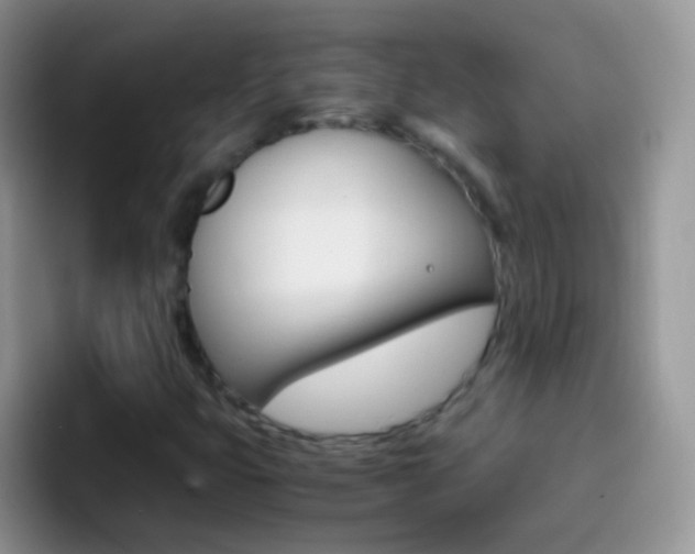 X0000097001399200802081019