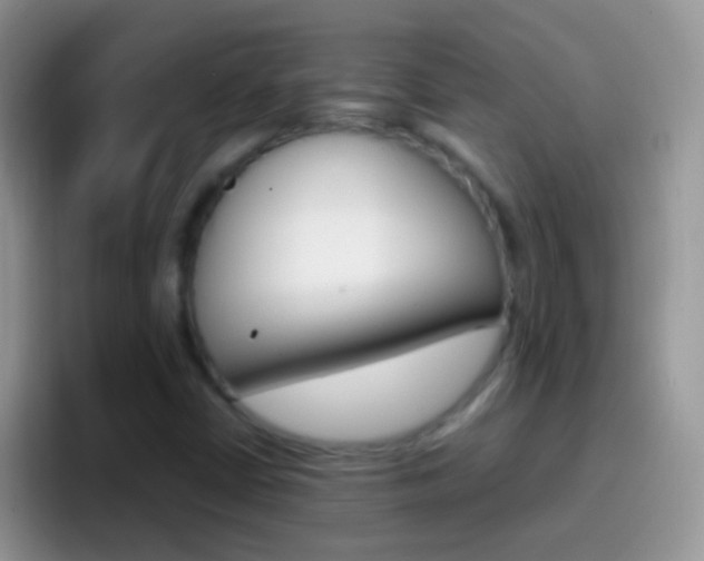 X0000097001402200802081019