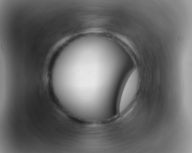 X0000097001406200802081019
