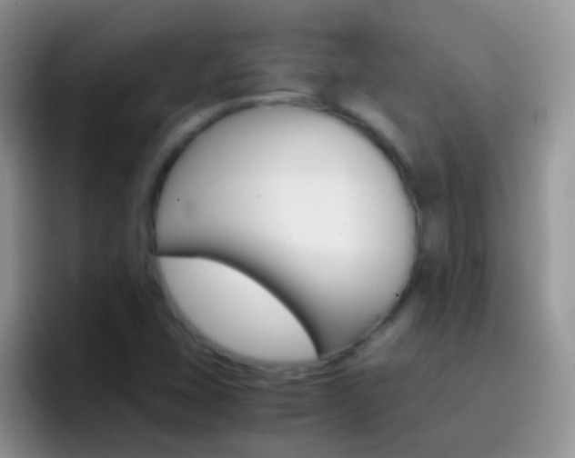 X0000097001407200802081019