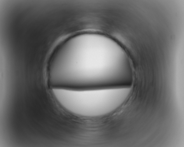 X0000097001408200802081019