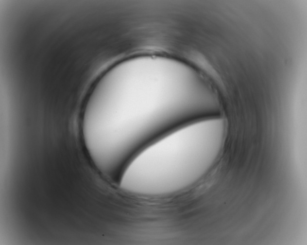 X0000097001412200802081019