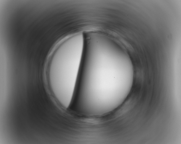 X0000097001418200802081019