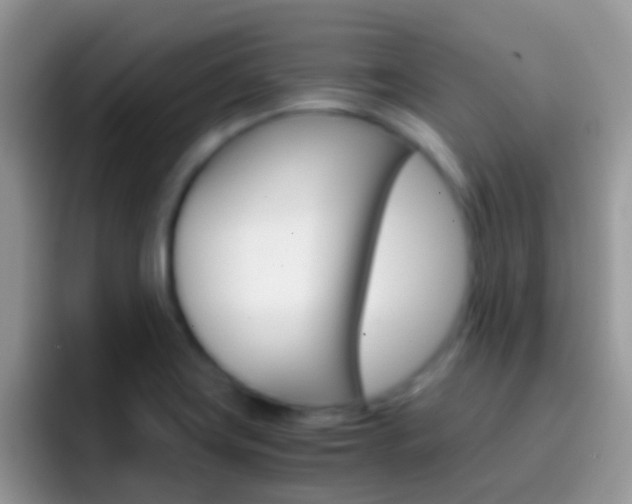X0000097001419200802081019