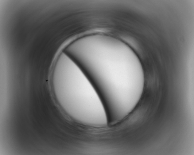 X0000097001420200802081019