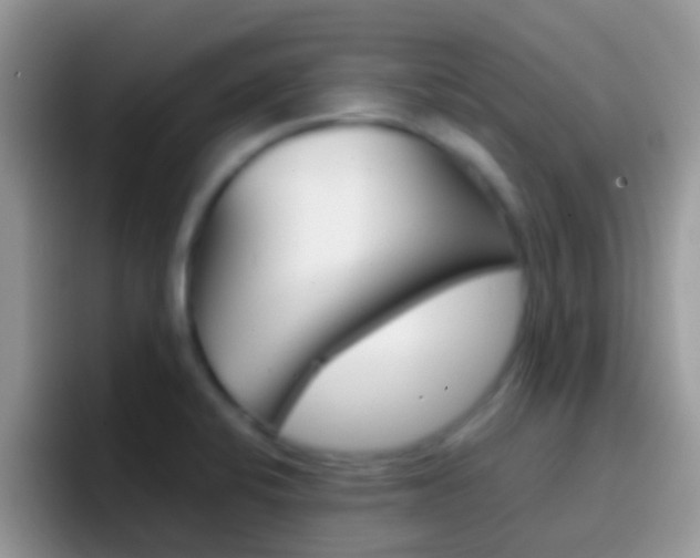 X0000097001424200802081019