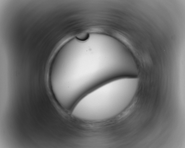 X0000097001426200802081019