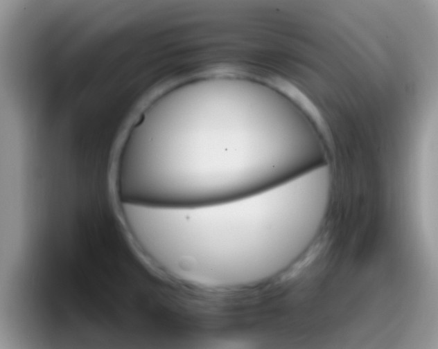 X0000097001429200802081019