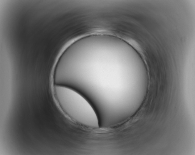 X0000097001440200802081019