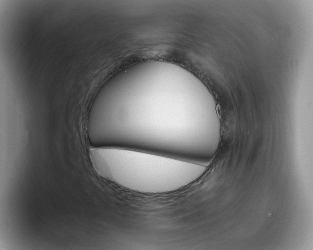 X0000097001441200802081019