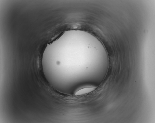 X0000097001442200802081019