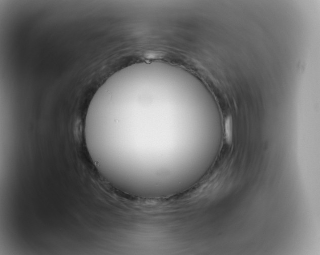 X0000097001443200802081019