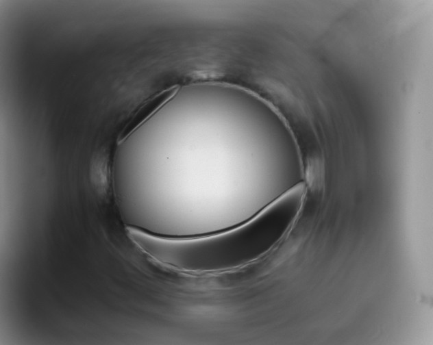 X0000097001444200802081019
