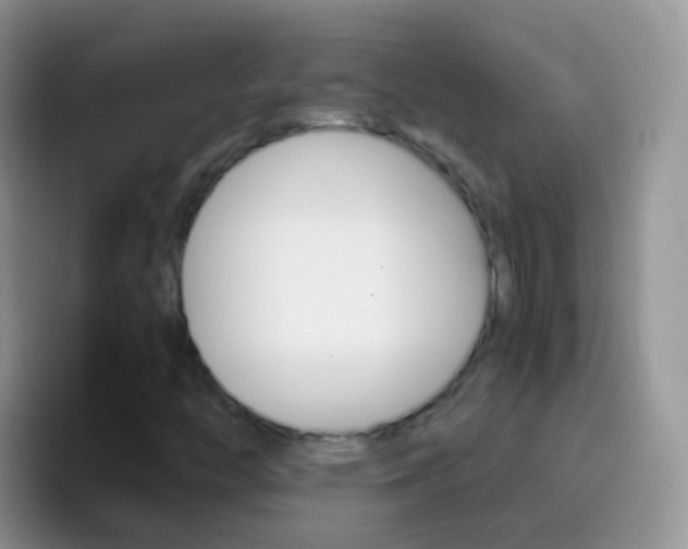 X0000097001446200802081019
