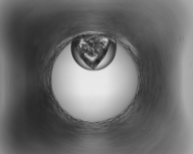 X0000097001448200802081019