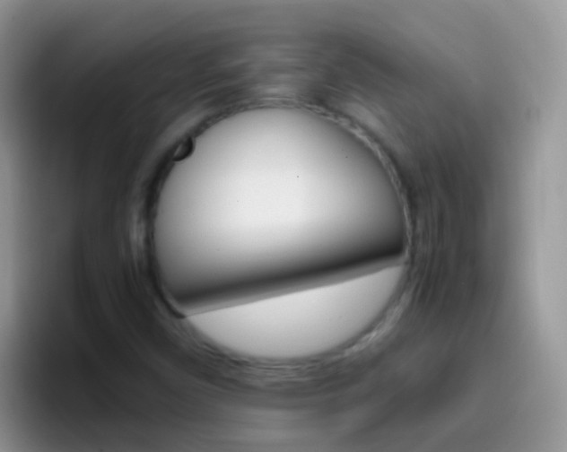 X0000097001450200802081018