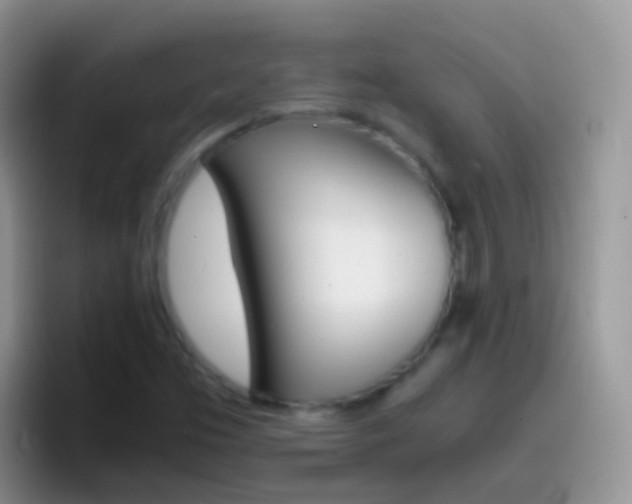 X0000097001453200802081018