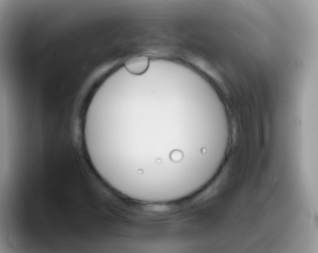 X0000097001454200802081018