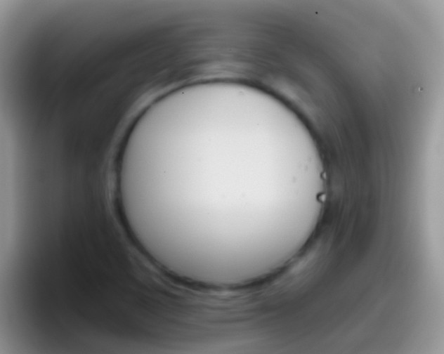 X0000097001459200802081018