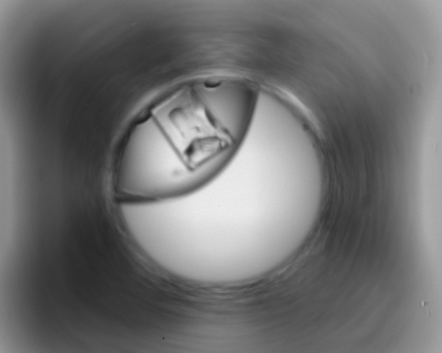 X0000097001460200802081018