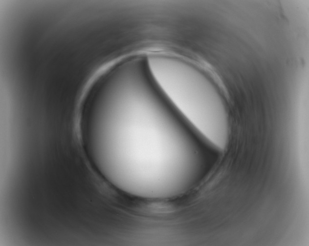 X0000097001464200802081018