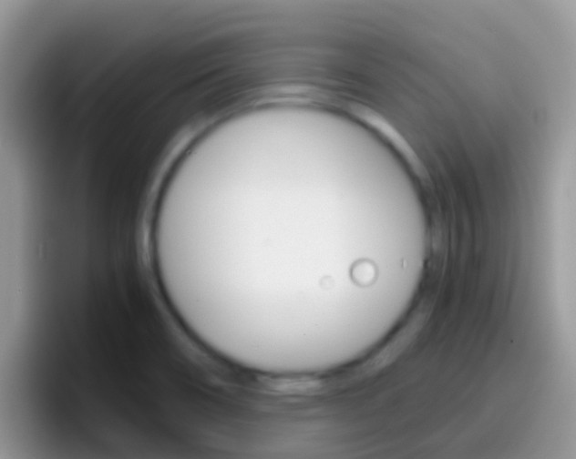X0000097001466200802081018