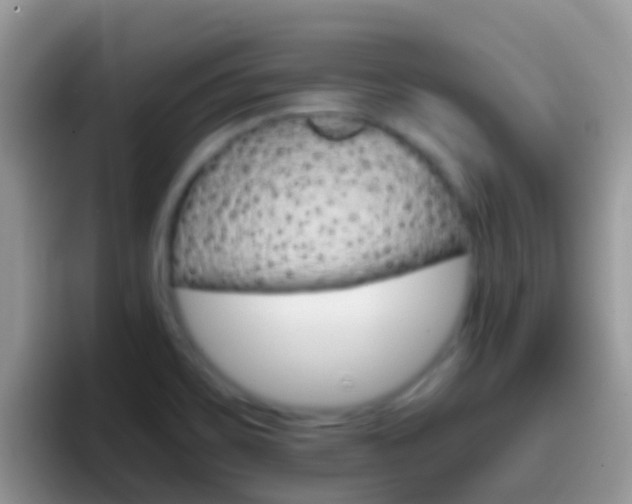 X0000097001467200802081018