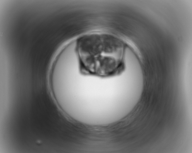 X0000097001472200802081018