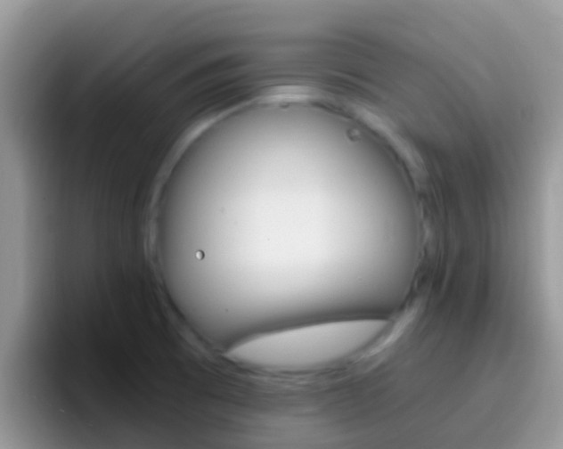 X0000097001473200802081018